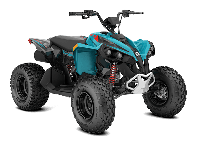 2025 Can-Am Renegade 110 EFI